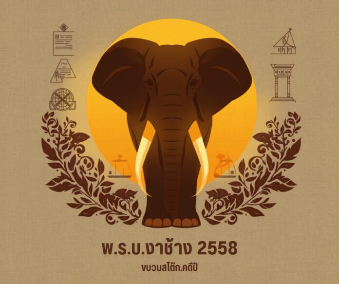 ช้างป่าเขาใหญ่ - สัตว์ป่าคุ้มครอง